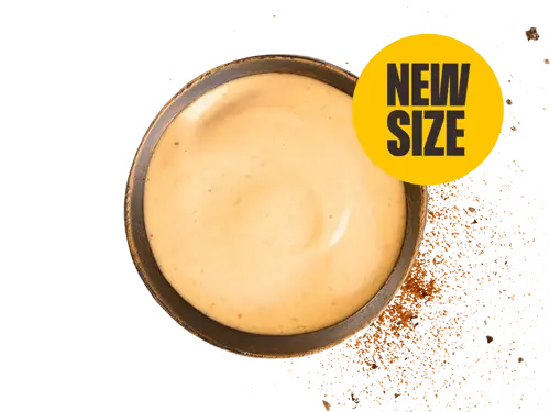 Large Southwestern Ranch